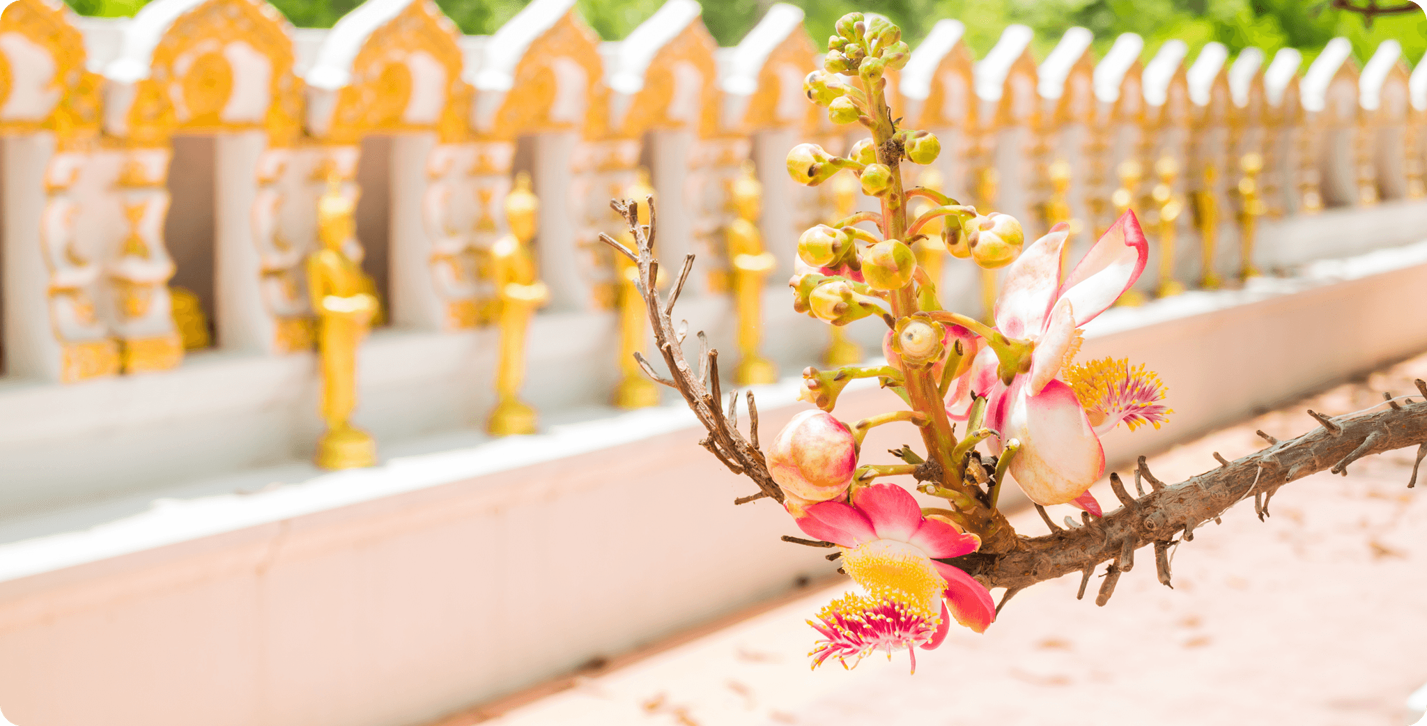 รับจัดงานศพครบวงจรคืออะไร?